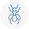 Ant Removals In Selby
