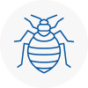 Bed Bug Extermination In Selby