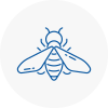 Bee Nest Removal Selby