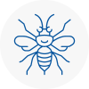 Selby Hornet Nest Removals