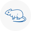 Rat Control Selby