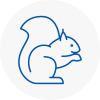 Selby Rodent Removals