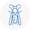 Selby Wasp Nest Removal